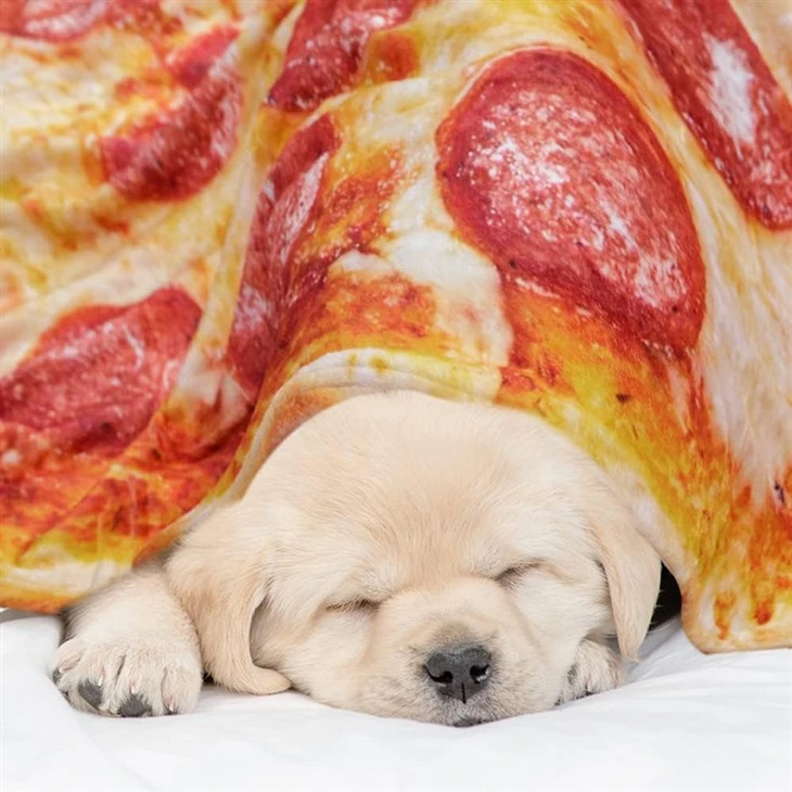 pancakes pizza blankets wholesale